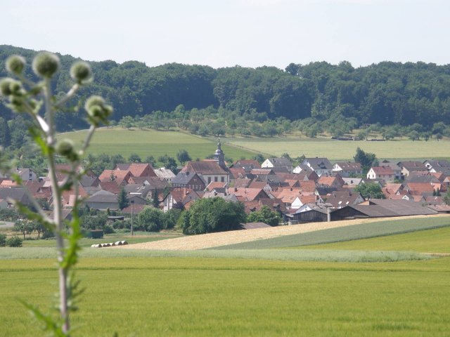 Großansicht: Große Darstellung des Bildes