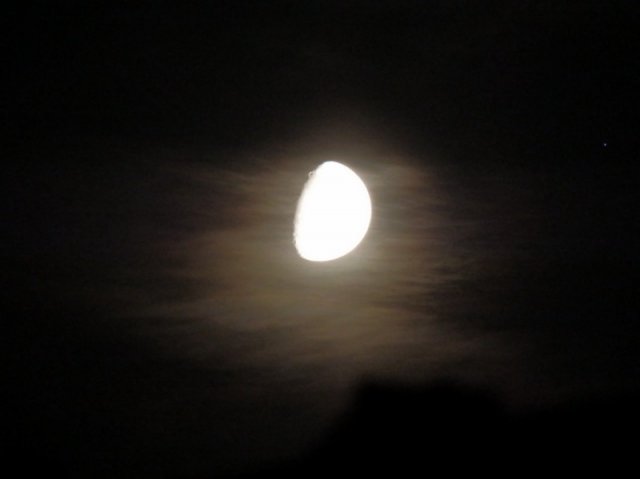 Großansicht: Große Darstellung des Bildes