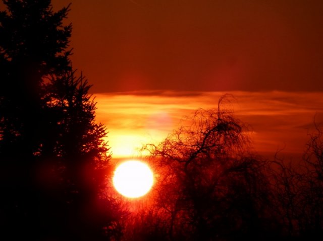 Großansicht: Große Darstellung des Bildes