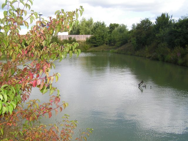 Großansicht: Große Darstellung des Bildes